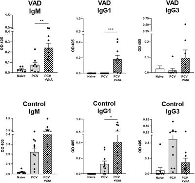 Influences of Vitamin A on Vaccine Immunogenicity and Efficacy